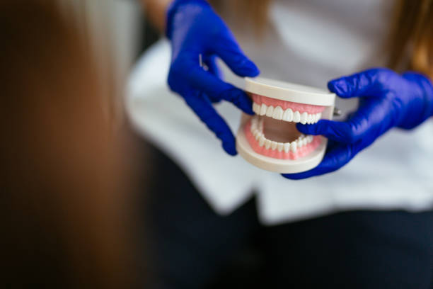  Muncie, IN Dental Services Pros